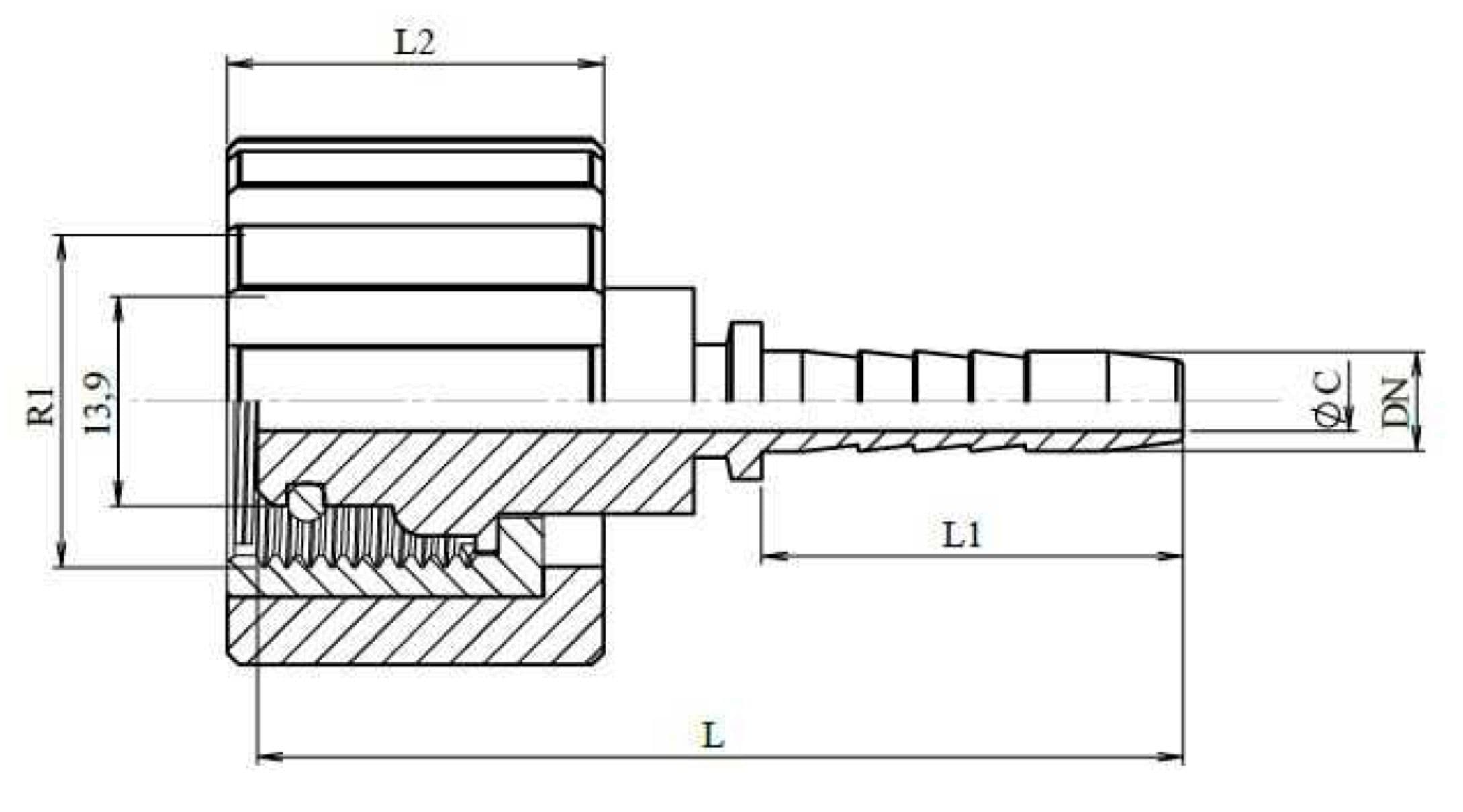 FEMMINA IDROPULITRICE